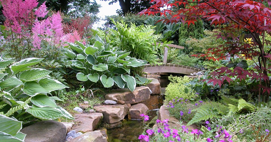 completed pond garden design